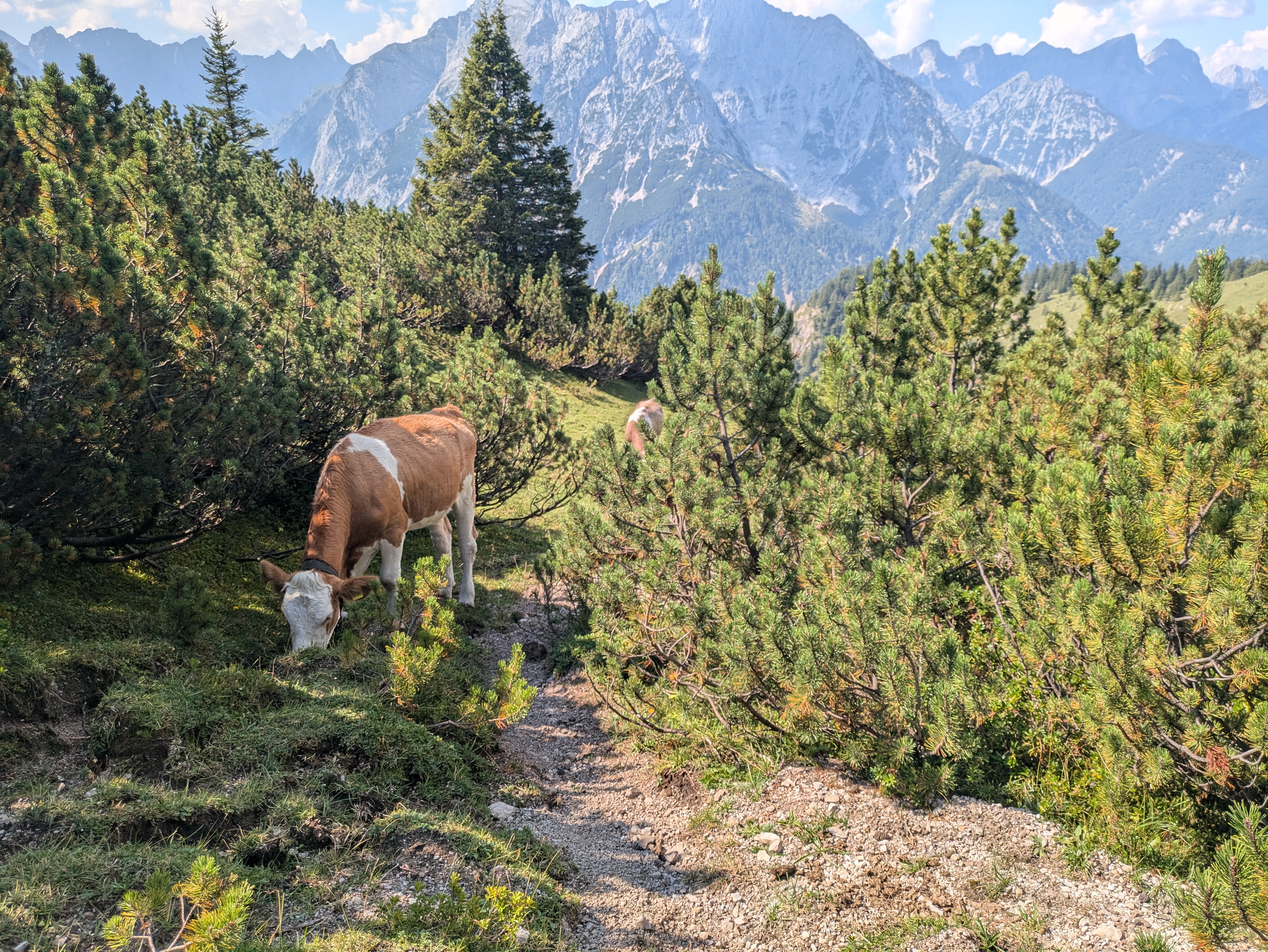 karwendel landscape part 7